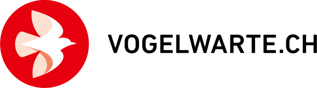 vse logo cmyk